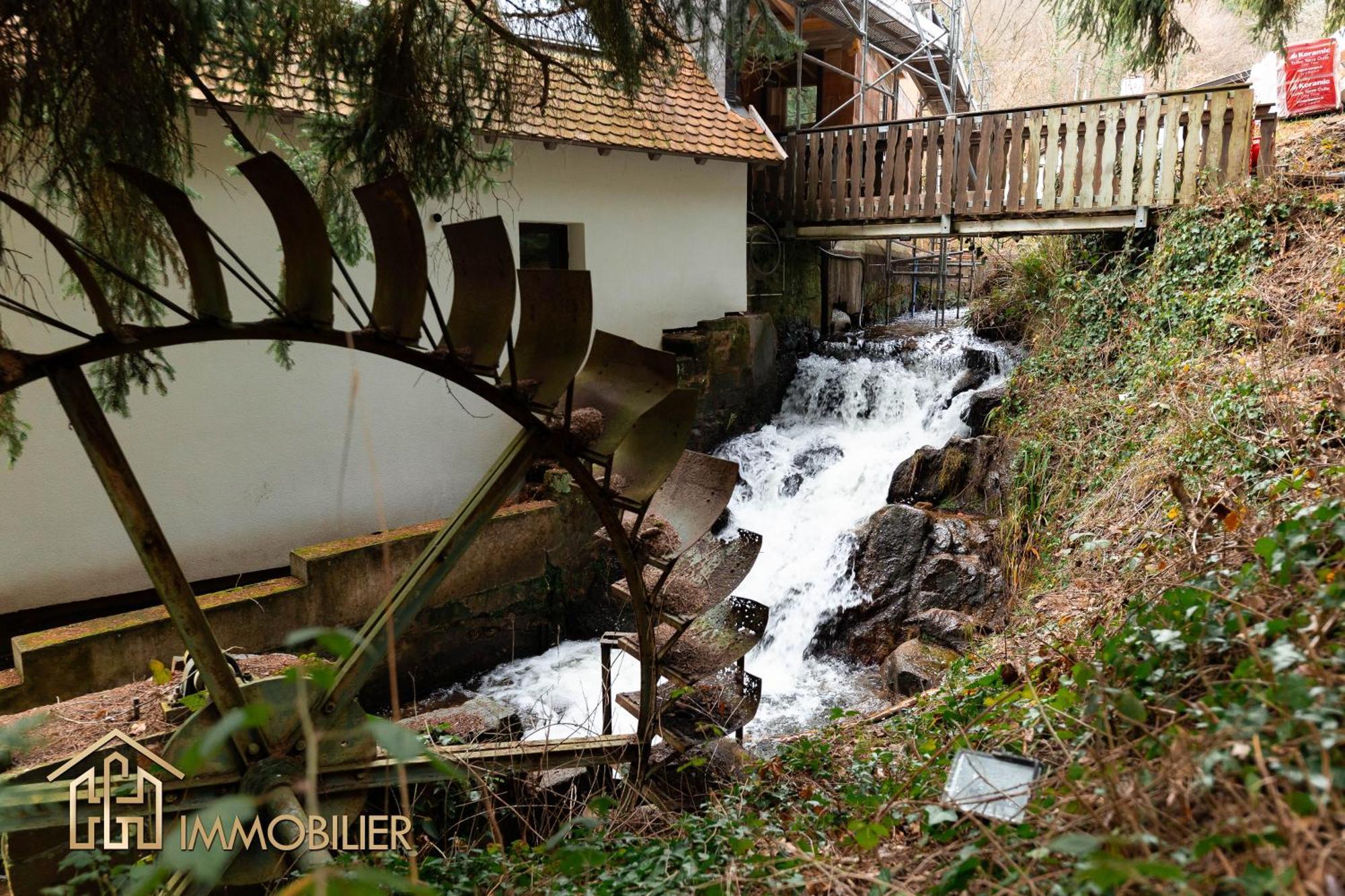 Domaine De La Source Gites 4 Personnes Au Calme Barr Exteriér fotografie
